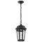 Nuvo East River Outdoor Hanging Fixture LED SMART Starfish RGBTW Matte Black, Clear Water Glass 62/5944 - alternate 1